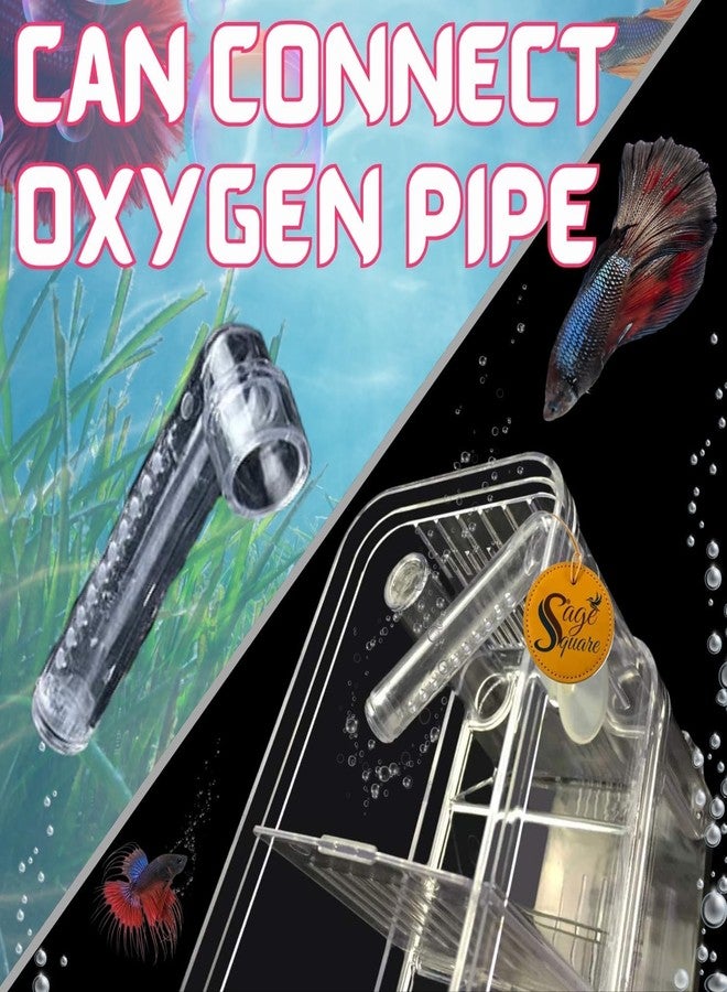 سايج سكوير حجرة عزل الأسماك من سيج سكوير، حل آمن وفعال لفصل الأسماك في أحواض السمك، فاصل للأحواض، حوض للحجر الصحي، حجرة مقسمة لحوض السمك، منطقة حماية لحوض السمك (صغيرة) - Image 3